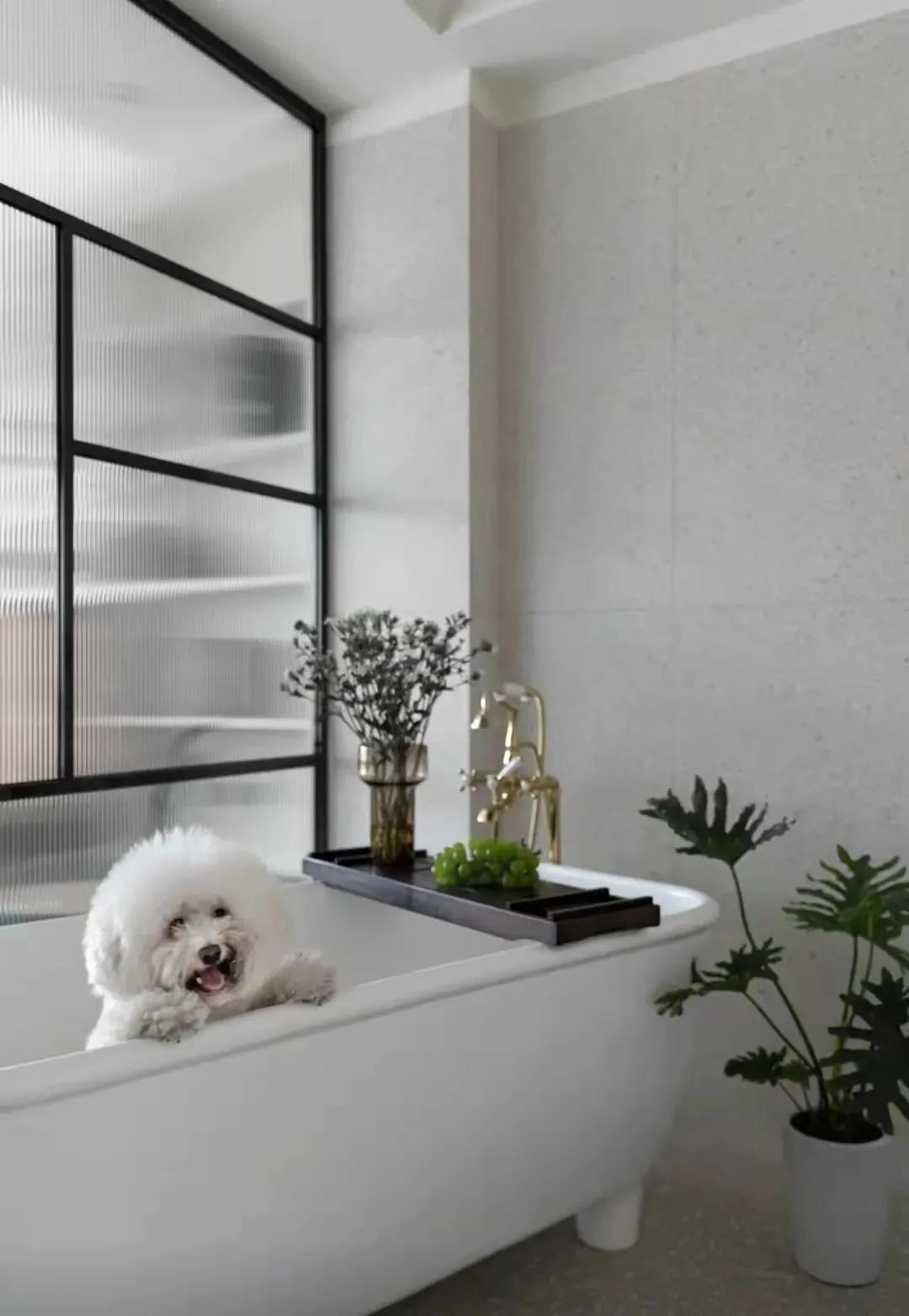 「訪」非傳統客廳＋多功能臥室，職住一體的復古烏托邦 