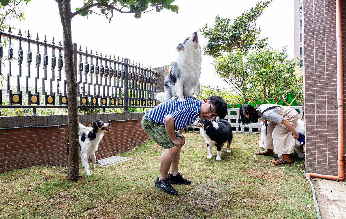 「執子之爪」Happy宅，4只汪の游樂園之家，養寵教科書~ 
