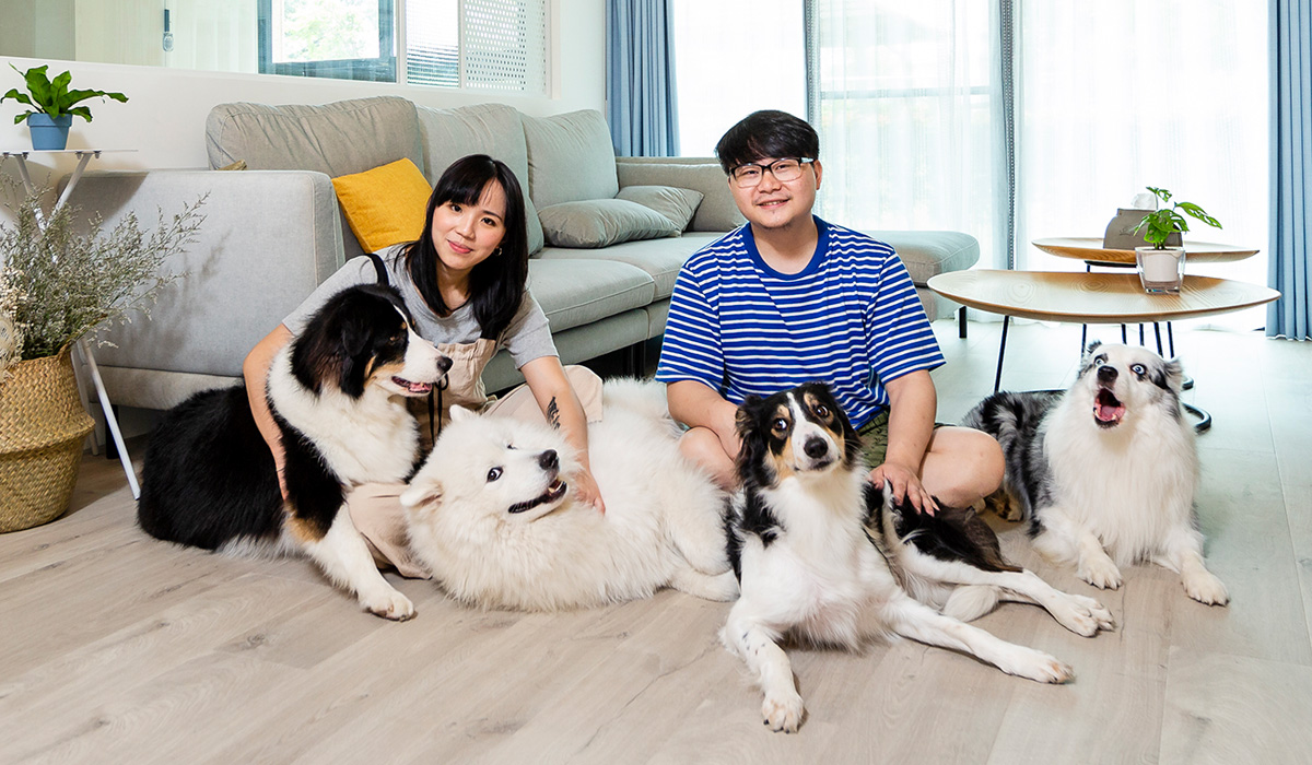 「執子之爪」Happy宅，4只汪の游樂園之家，養寵教科書~ 