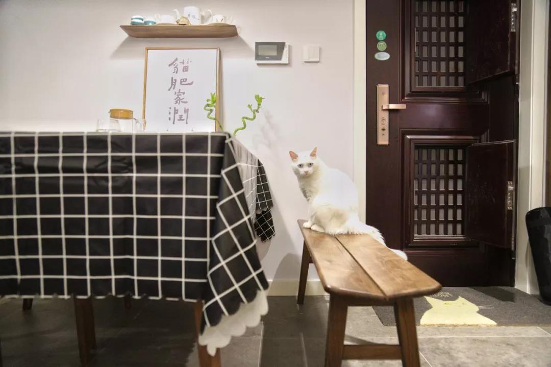 90后夫妻買下92㎡：兩人一貓半院子，“偷”得浮生半日閑！